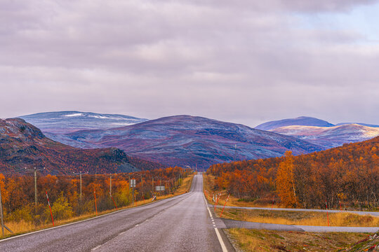 Perspective view of straight road in northern wilderness during autumn foliage season