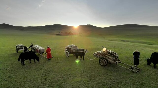 Aerial drone view of Mongolian migration with yak carts crossing sunlit steppe grassland.