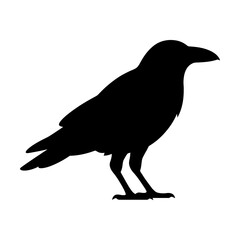 Fototapeta premium Black crow silhouette vector perfect for minimalist designs, greeting cards, or social media posts with transparent