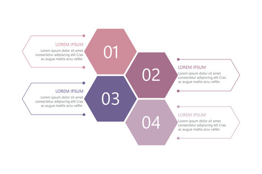 Vector infographic label design with circle infographic template design and 5 options or steps.	