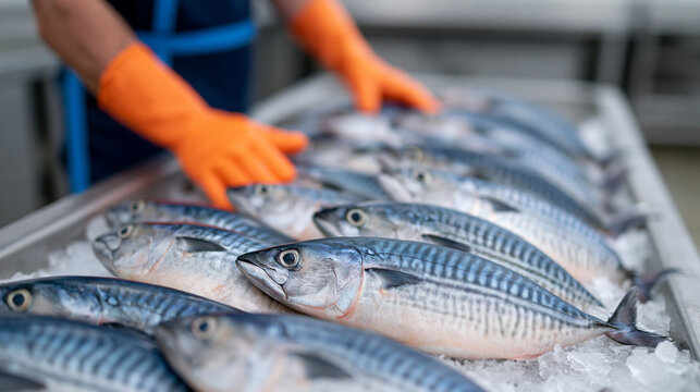 Eye-level close-up of a worker sorting fresh fish on ice at a processing plant, hands in bright orange gloves, blue apron strap visible, waist-down figure on the left side of frame