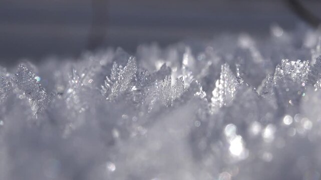 Hoar frost and rime ice cover the ground with delicate white winter crystals.