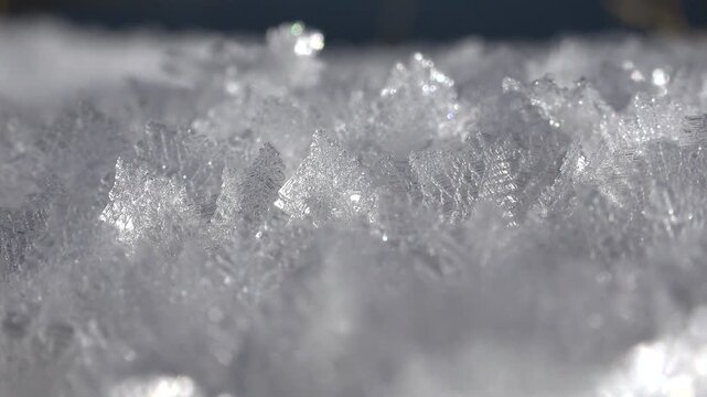 Hoar frost and rime ice cover the ground with delicate white winter crystals.