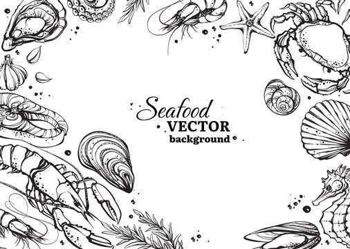 Horizontal black and white seafood background with copy space, contour lobster, crab and seashells. Monochrome marine life line art banner template isolated vector illustration.