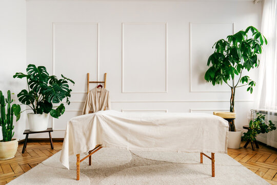 Empty massage table in bright spa room with green plants