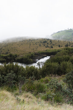 Misty Highland Wetland Landscape with Meandering Stream and Native Vegetation