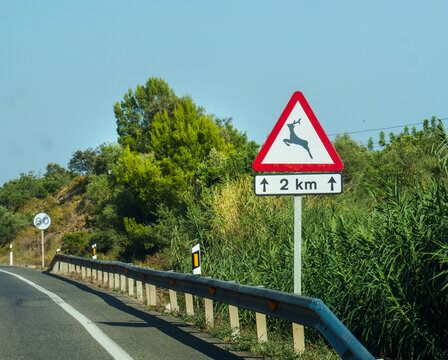 Roadway Guardrail Deer Crossing Sign Green Hills Clear Sky