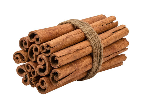 Bundle of natural cinnamon sticks tied with twine on a transparent background.