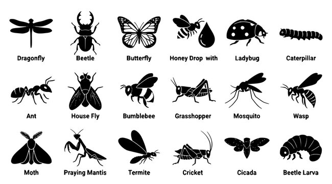 Modern Insect Silhouette Icons &ndash; 18 Editable Filled Butterfly Bee Beetle and Bug Vectors