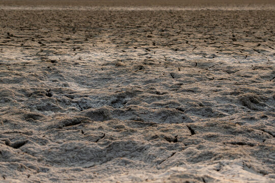 Barren parched land with cracked soil under harsh dry weather conditions.