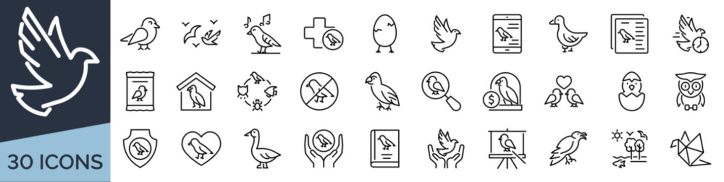 Set of 30 outline icons related to birds. Linear icon collection. Editable stroke. Vector illustration