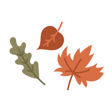 Vector hand drawn autumn leaves set. Orange maple, oak and fall foliage collection in warm seasonal colors isolated on white background.