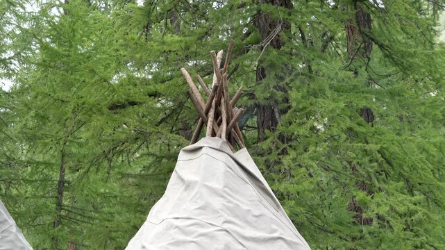 Tipi tent smoke rising from wooden pole frame inside forest, traditional native shelter.