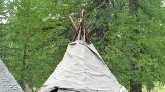 Tipi tent smoke rising from wooden pole frame inside forest, traditional native shelter.