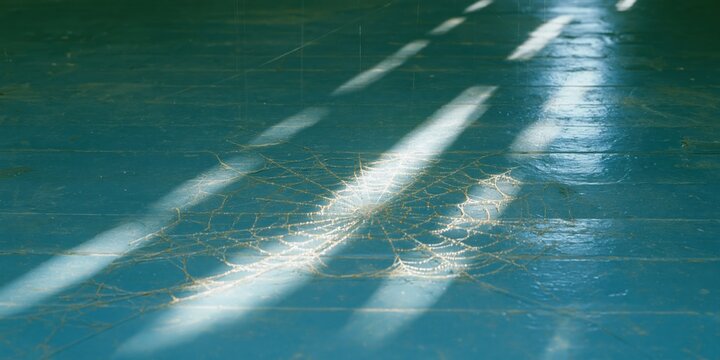 Spider web on a teal wooden floor with morning light casting lacey shadows, creating a quiet atmosphere for background and copy space