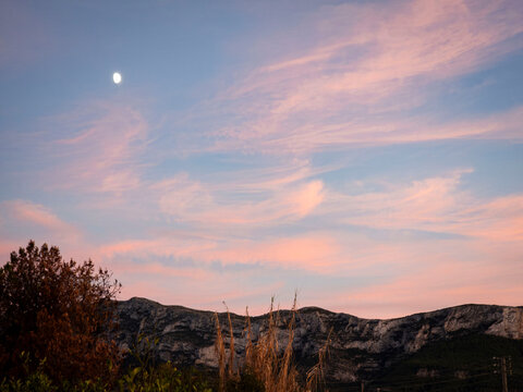 Wide view of moon in pastel twilight sky over mountains and trees at dusk