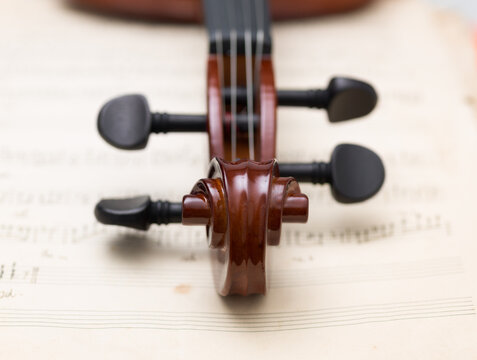 Frontal Macro Shot of Carved Wooden Violin Scroll