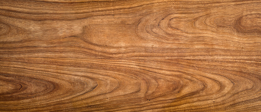 Wood tree texture macro shot. Wide walnut wood texture background. Walnut veneer is used in luxury finishes.