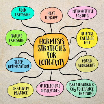 Home based hormesis strategies for healthy aging and longevity, including cold therapy, fasting, exercise, and mental resilience practices. Mind map sketch infographic.