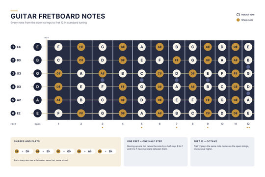 Guitar fretboard chart with every note from the nut to fret 12