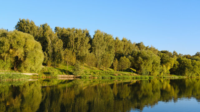 Wallpaper with soothing nature. An autumnal quiet park with shrubs and trees is reflected in the peaceful landscape by the lake.