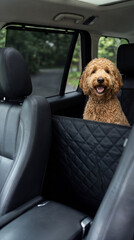 Obraz premium Goldendoodle dog sitting in a car using a black quilted back seat protector. Secure animal transport and luxury pet travel gear. Safe automotive accessories for puppy road trip lifestyle.
