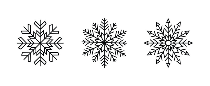 Three stylized snowflake vector illustrations with intricate geometric patterns for winter branding and design projects