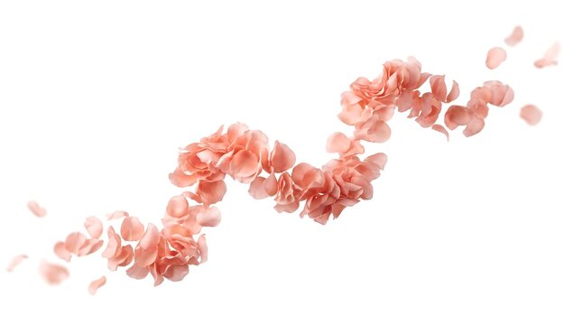 Petal Ribbon Twisting and Frame 2k Visual Composition with Clean Lighting and Balanced Framing for Commercial Advertising