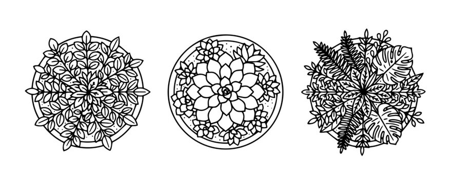Botanical floral mandala and potted plant top view line art vector set.