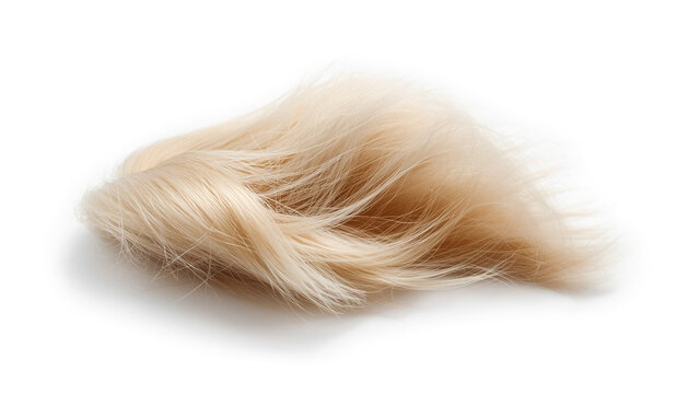 A clump of soft blonde hair isolated on a white background with voluminous texture with isolated tuft light against clean white lightweight minimalist synthetic