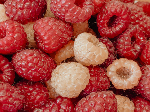 Close up of red and pale raspberries showing clustered drupelets, delicate hairs, natural texture, and varied ripeness in a tightly packed fruit arrangement