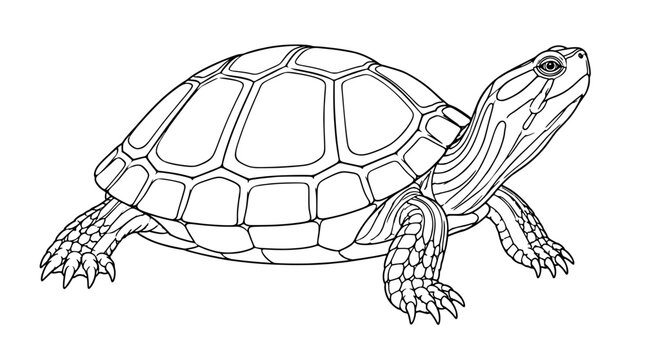 Black outline vector icon of a walking land turtle with domed segmented shell patterned head and neck striped legs with clawed toes and short tail drawn with thin precise lines in side profile