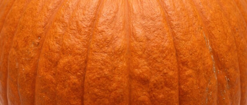 Close up texture of ribbed orange pumpkin skin. Smooth vertical grooves on ripe squash rind background