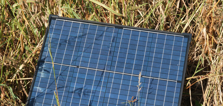 Mobiles Solarpanel auf einer wilden Wiese &ndash; Nachhaltige gr&uuml;ne Energieerzeugung in der Natur, Photovoltaik im Freien f&uuml;r autarke Stromversorgung