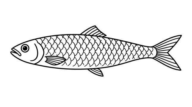 Bold black outline vector icon of a whole sardine in left-facing side view with scaled body pattern, round eye, gill curve, dorsal pectoral ventral fins and forked tail in horizontal alignment