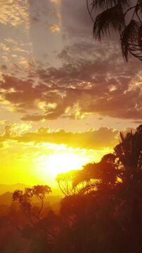 Aerial shot of dramatic clouds and the setting sun behind a row of palm trees. Los Angeles California. Vertical Video.