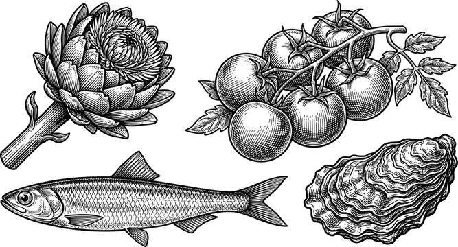 Artichoke tomato fish and oyster vector illustration in vintage engraved style for culinary menu design