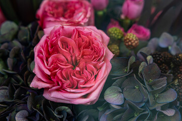 Obraz premium Close up of dusty pink garden roses with dark blue hydrangea and decorative berries in mood floral bouquet