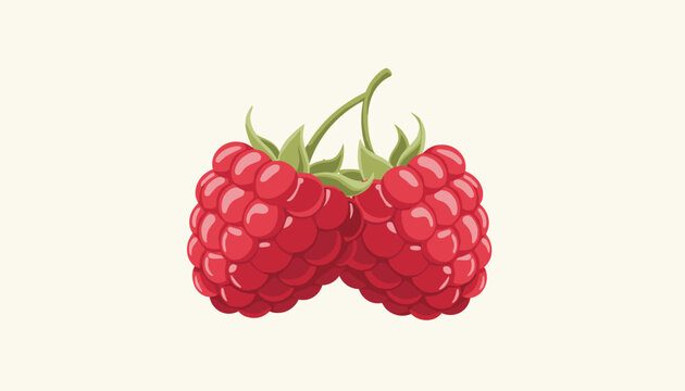 Two fresh red raspberries with green leaves on a thin stem against a plain white background in a simple and clean vector graphic.