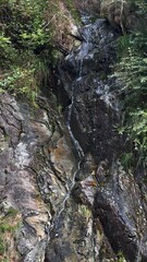 Small waterfall flowing down dark rocky cliff surrounded by green vegetation in verzasca valley, switzerland © Iryna
