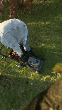 Izhevsk, Russia, September 23, 2026. Lawn mowing and leaf clearing in an autumn garden  