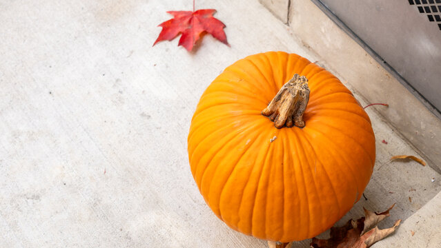 Bright orange pumpkin on a concrete surface with fallen red maple leaves nearby, showcasing autumn seasonal elements and natural textures
