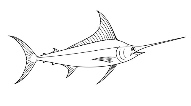 Black outline vector icon of a marlin with long pointed bill, tall dorsal fin and forked tail drawn with thin lines in centered side profile highlighting streamlined body and lateral line detail