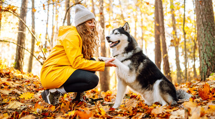 Young woman in yellow raincoat walks with husky through an autumn forest. Woman enjoys moment with pet, surrounded by yellow leaves at sunset. A concept of friendship and walking. © maxbelchenko