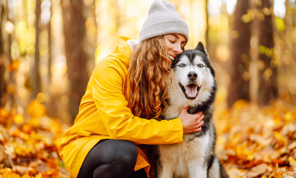 Young woman in yellow raincoat walks with husky through an autumn forest. Woman enjoys moment with pet, surrounded by yellow leaves at sunset. A concept of friendship and walking.