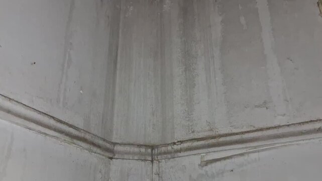 Water damaged interior wall corner showing peeling paint texture