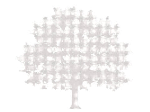 Simple pixel art tree icon made of small squares isolated on a white background isolated on transparent background