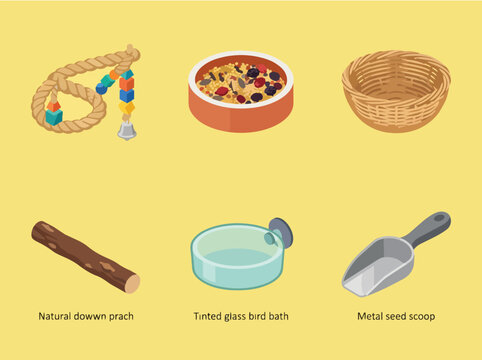 Bird Feeder Accessories Collection Set Vector Illustration