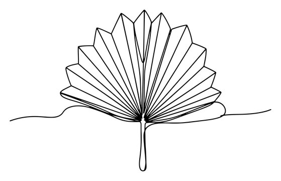 Traditional palm leaf hand fan