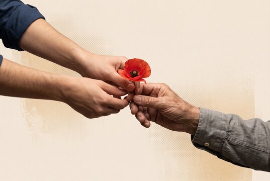Single red poppy passed between younger and older hands as a symbol of remembrance, legacy, and intergenerational memory